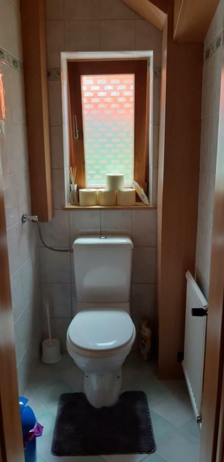 Ferienwohnung Schmiedsipplbad Gosau Dış mekan fotoğraf