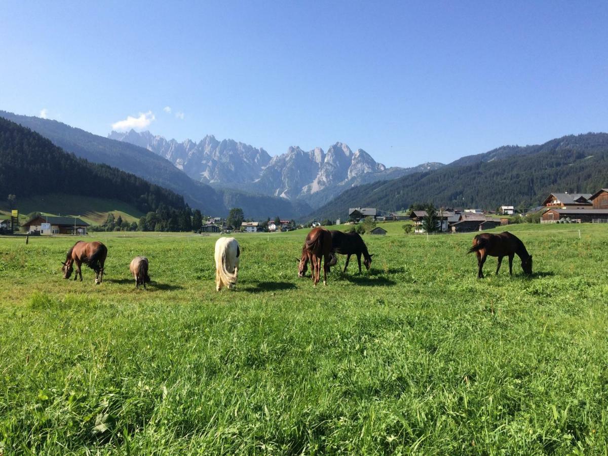 Ferienwohnung Schmiedsipplbad Gosau Dış mekan fotoğraf